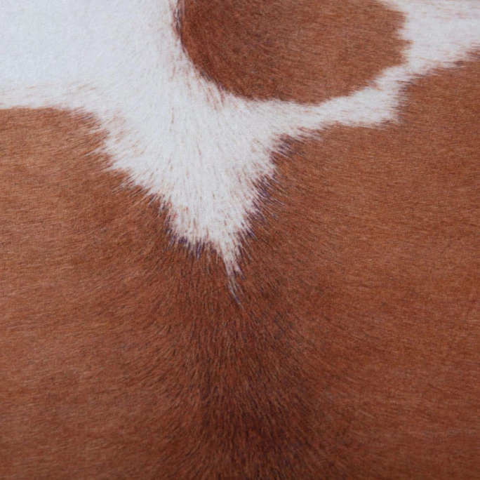 Obsession My Toledo Kunstfell Indoor & Outdoor - 155x190 cm - brown 2 Coupon ❤️ Obsession My Toledo Kunstfell Indoor & Outdoor - 155x190 Cm - Brown 2 ???? -House Nordic Shop unnamed file 3456